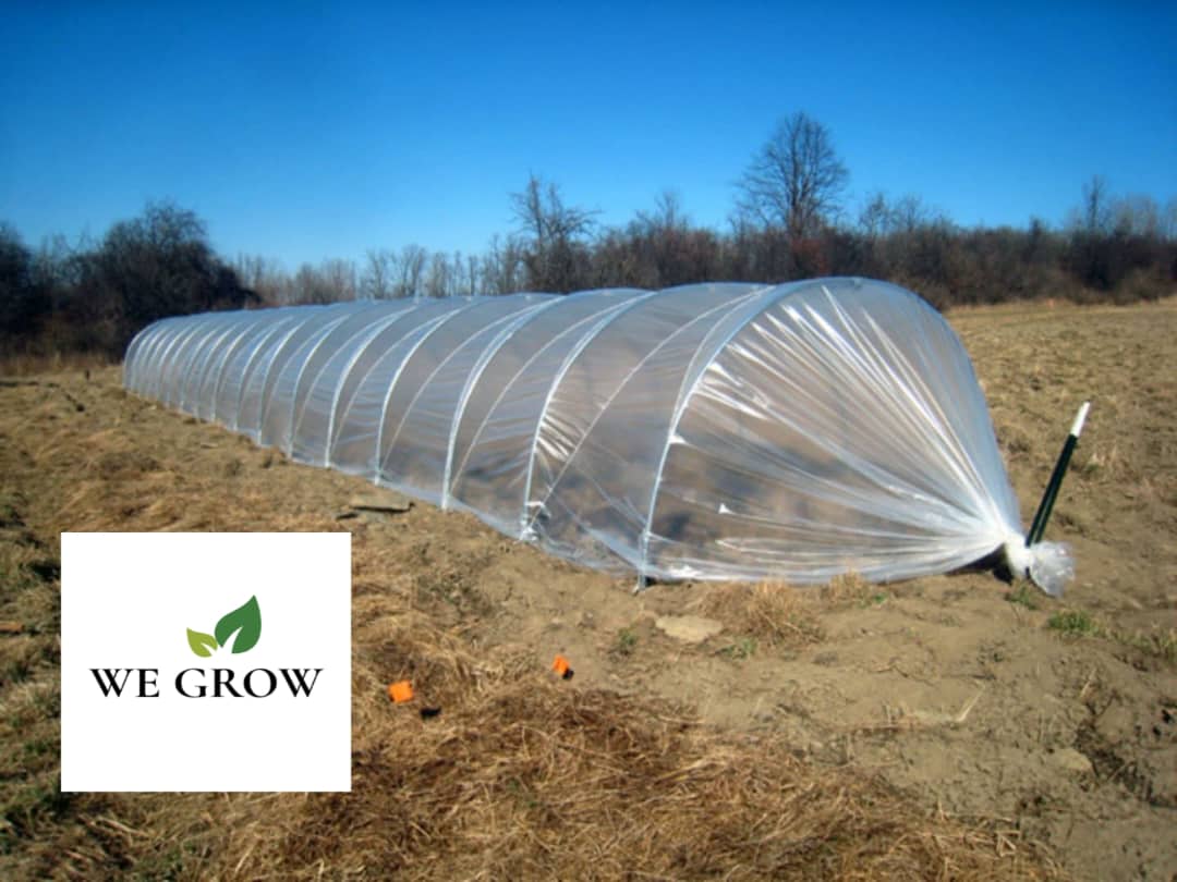 Low Greenhouse Tunnel