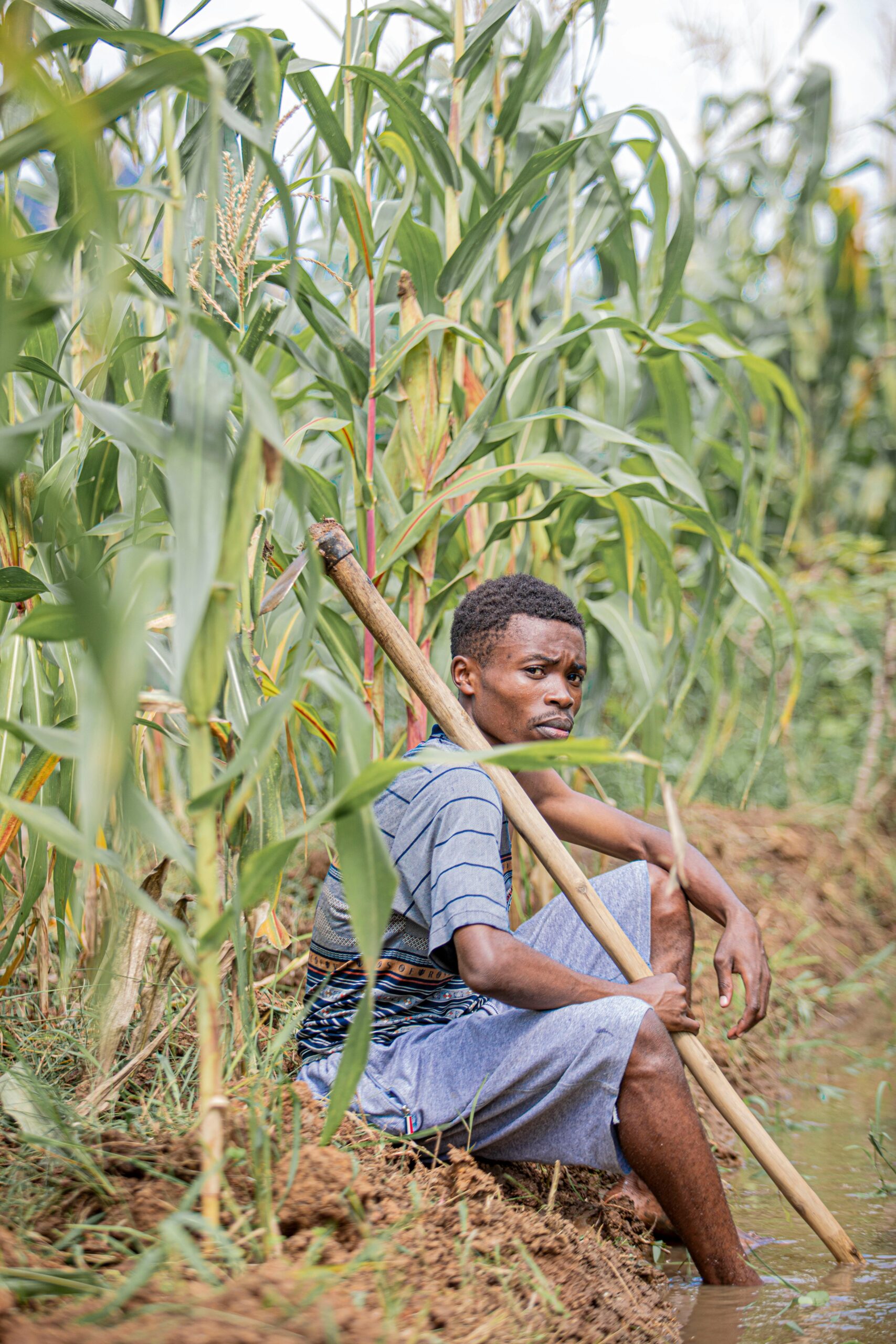 Young farmer resting in a lush cornfield in rural Burundi.